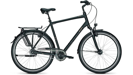 Raleigh Chester 8 XXL
